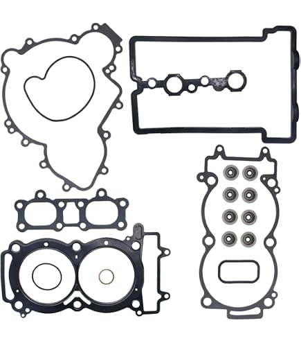 Amazon.com: Base Gasket, 2 Cylinder, Part 5253037 : Automotive